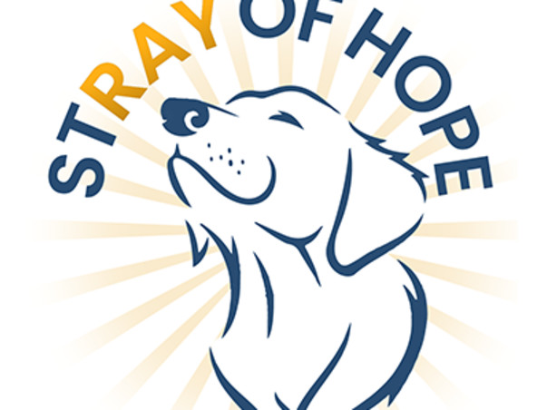 Stray of Hope