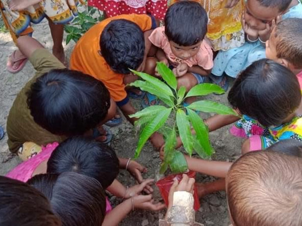 Help to Grow a Greener Sundarban