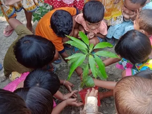 Help to Grow a Greener Sundarban