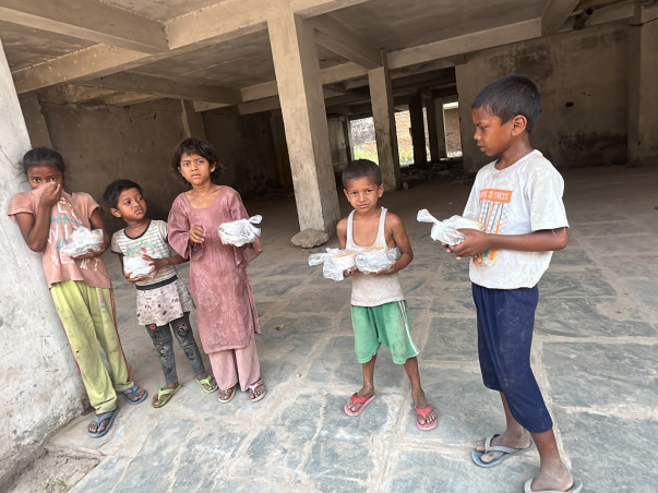 THE BRIJWASI FOUNDATION