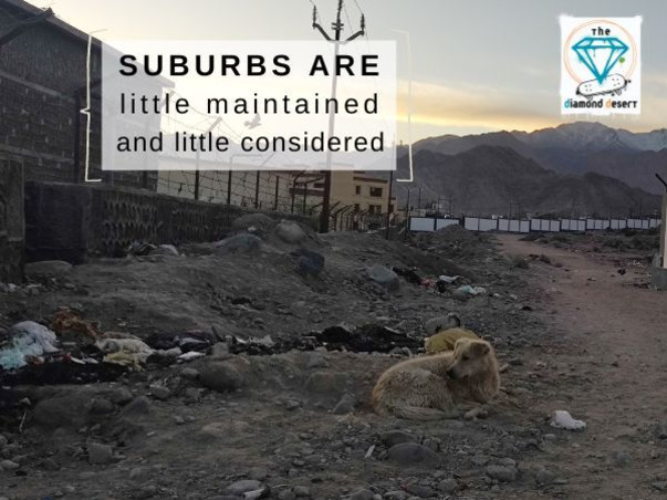 HELP LADAKH CHILDREN TO GET A SKATEBOARD PARK