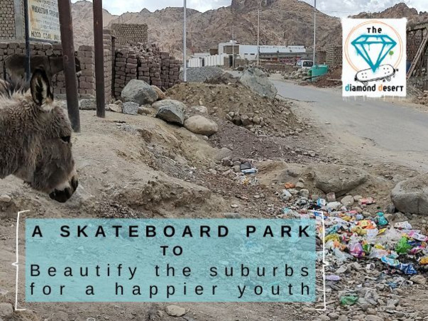 HELP LADAKH CHILDREN TO GET A SKATEBOARD PARK