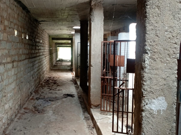 A New Beginning for Our Shelter: Help Us Restore Hope and Healing