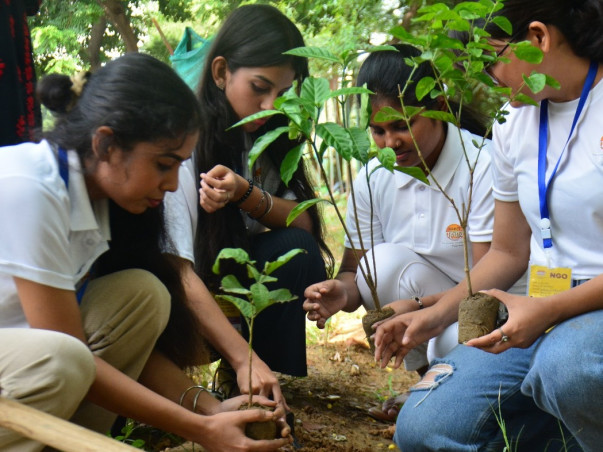 Planting for a greener tomorrow