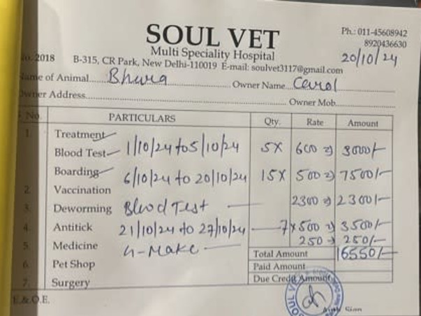 Help Bhura & Julie Heal