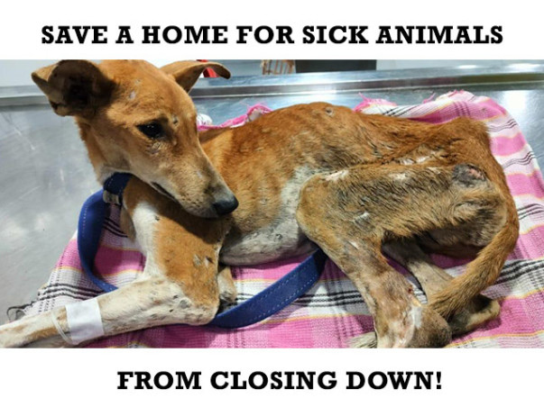 SAVE A HOME FOR SICK ANIMALS FROM CLOSING DOWN!