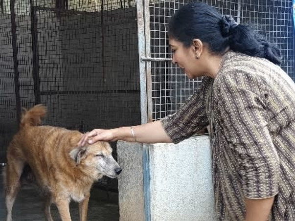 Home For Handicapped Senior Animals need help for food and maintenance