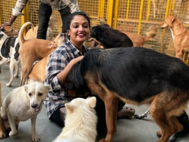 Aditi needs your help to feed & medicate 400 Rescued Dogs & Cats!