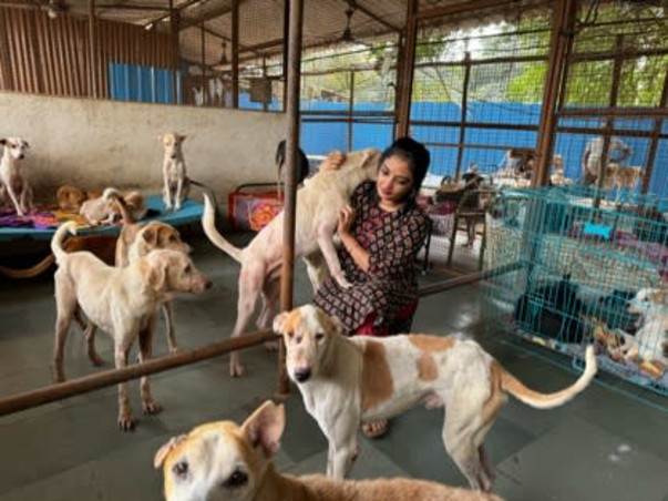 Aditi needs your help to feed & medicate 400 Rescued Dogs & Cats!