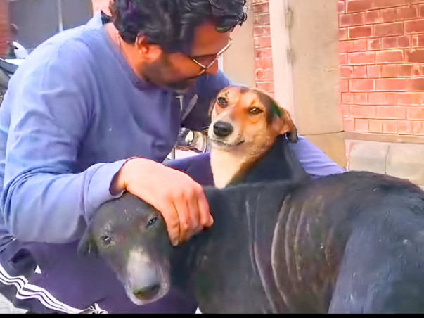 Support AWCS in Building Modern Animal Hospital for Stray Animals