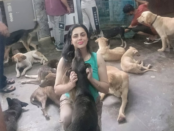 Support AWCS in Building Modern Animal Hospital for Stray Animals