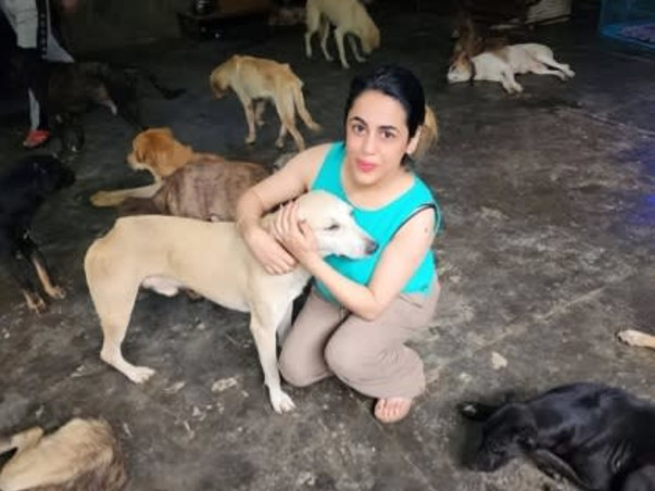 Support AWCS in Building Modern Animal Hospital for Stray Animals
