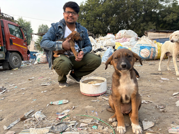 Free dog treatment Center