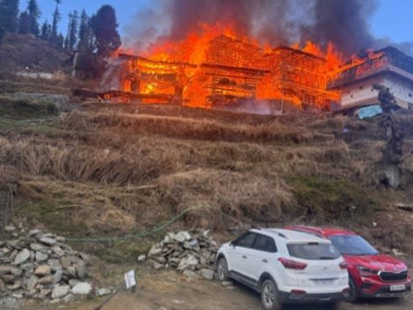 Help Rebuild Tandi Village - India's Beloved Tree House Village