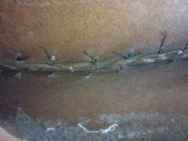 Support Srinivasu to Recover from accidental Spine hand andLeg Injury