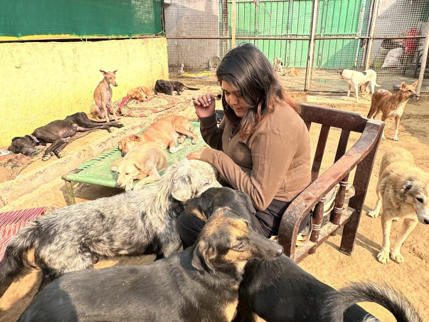 HELP US BUILD A HOME FOR DISTRESSED ANIMALS