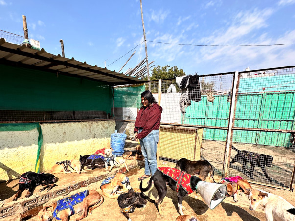 HELP US BUILD A HOME FOR DISTRESSED ANIMALS