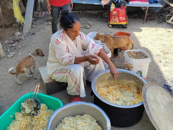 Feed/Rescue stray animals 🐾