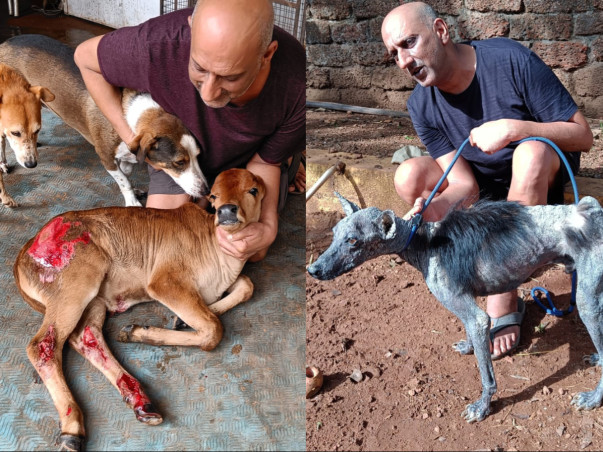 Help Us Save Lives – Support WAG's Mission to Protect Stray Animals !