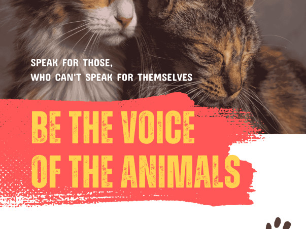 Project Pawtection: Rescue, Heal, Love