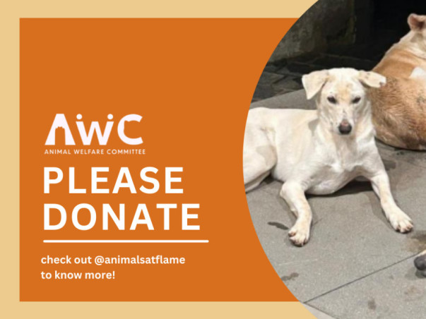 FLAME University Animals fundraiser