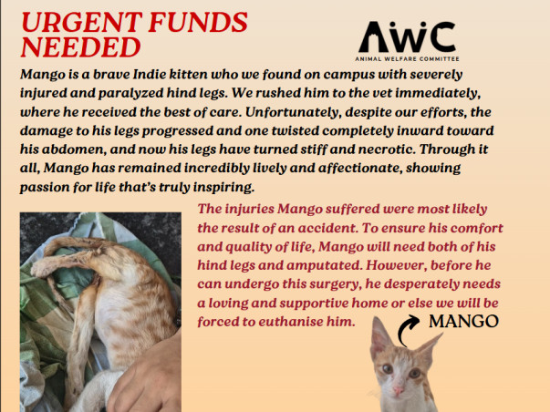 FLAME University Animals fundraiser