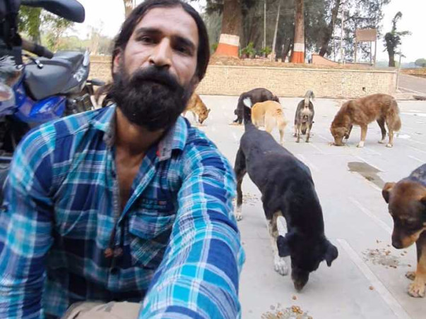 Helping the voiceless animals
