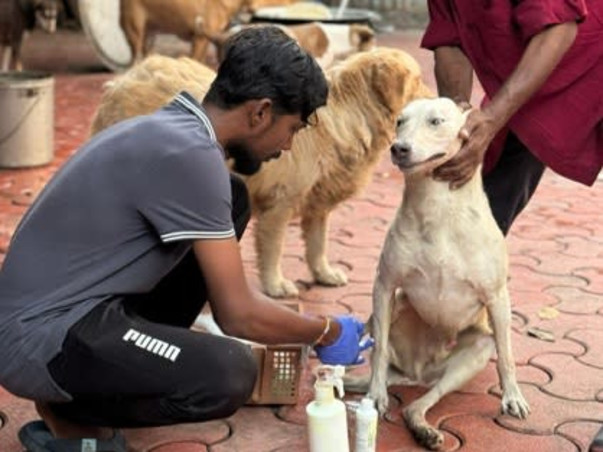 440+ animals at Empathy Unlimited Rehab & Sanctuary need you now!