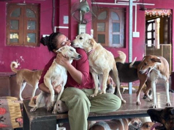 440+ animals at Empathy Unlimited Rehab & Sanctuary need you now!