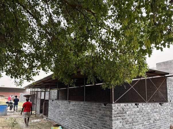 HELP US BUILD A HOME FOR DISTRESSED ANIMALS