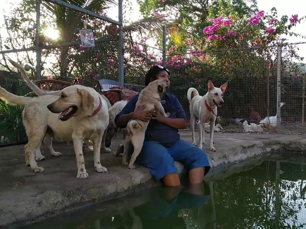 Urgent Support Needed For An Animal Shelter Home