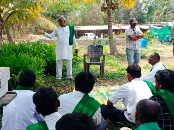 Help 50 Rural Families Build a Future Through Beekeeping