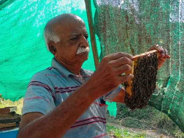Help 50 Rural Families Build a Future Through Beekeeping