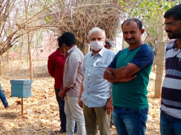 Help 50 Rural Families Build a Future Through Beekeeping