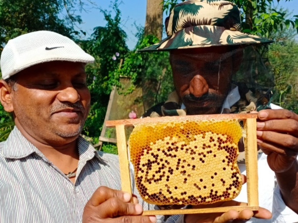Help 50 Rural Families Build a Future Through Beekeeping