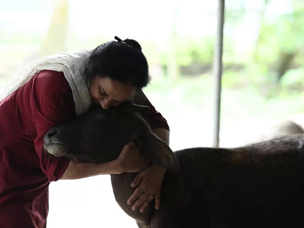 Healing with Love: Support Chhaya Animal Hospital and Shelter