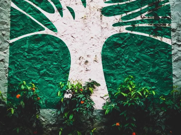 Help Fiza Continue Her Master’s Education at TISS Mumbai