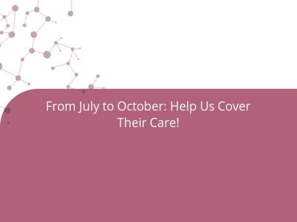 From July to October: Help Us Cover Their Care!