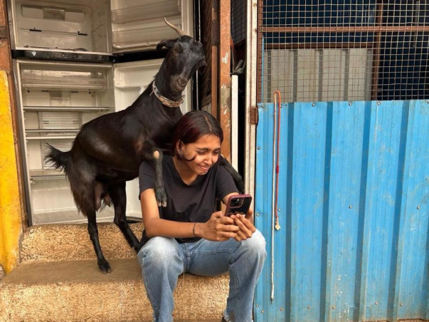 Running for Paws: When Football Meets Compassion ⚽🐾