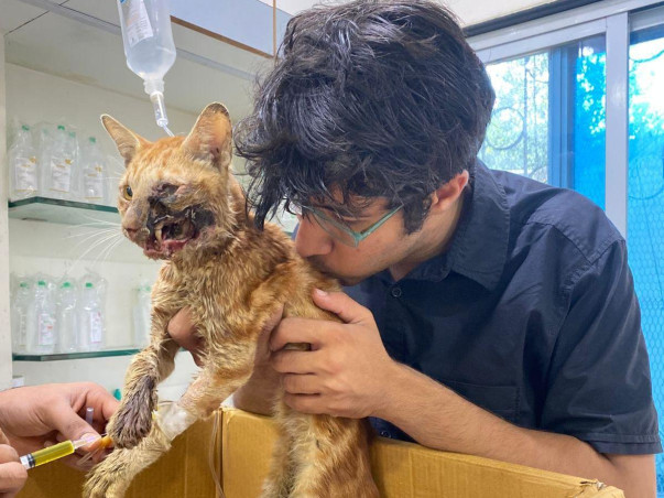 Running for Paws: When Football Meets Compassion ⚽🐾