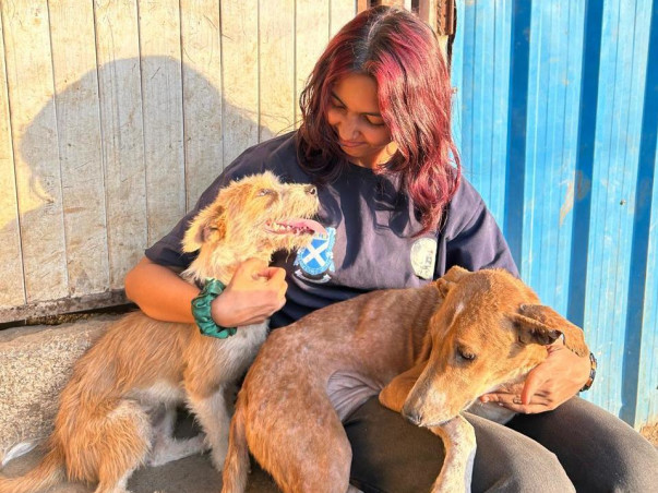 Running for Paws: When Football Meets Compassion ⚽🐾