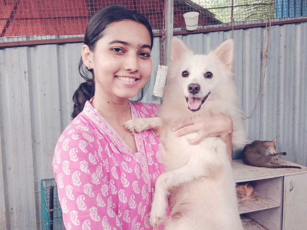 Running for Paws: When Football Meets Compassion ⚽🐾