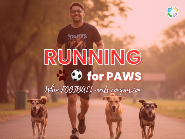 Running for Paws: When Football Meets Compassion ⚽🐾