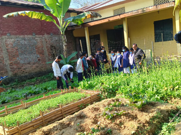 Support Assam’s Young Food Growers | Become a Nutrition Champion