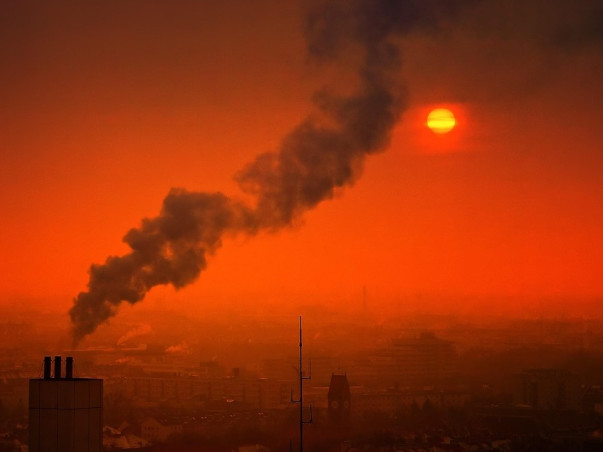 GenZ Rising: Support Youth led Climate Action in Chennai and Bengaluru