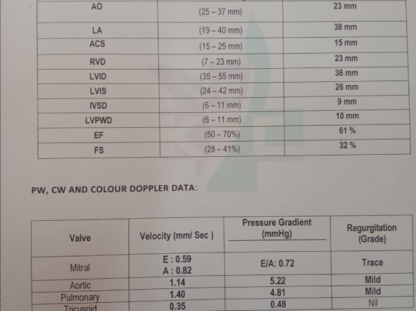 Hiding Tears from My Dying Parents. Please Save Us