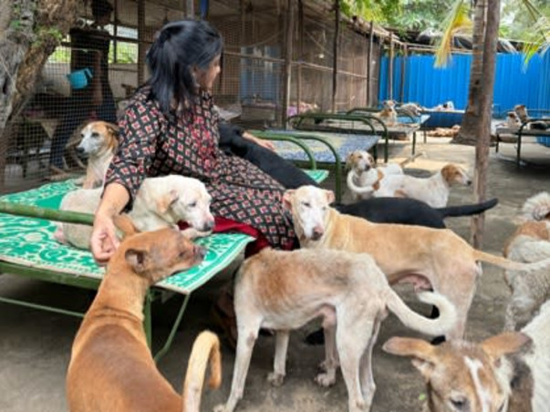 Help Empathy Unlimited Rescue & Rehabilitate Street Animals!