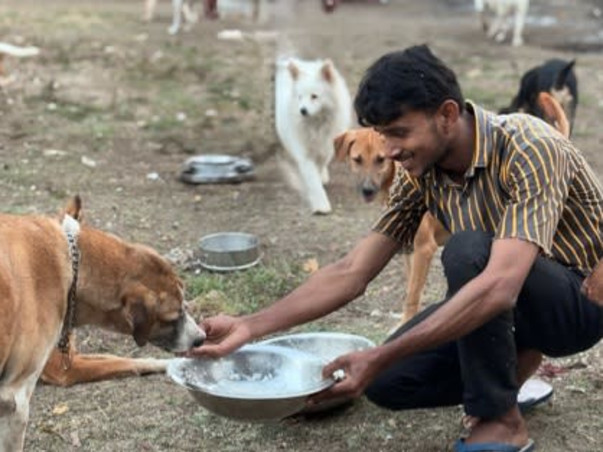 Help Empathy Unlimited Rescue & Rehabilitate Street Animals!