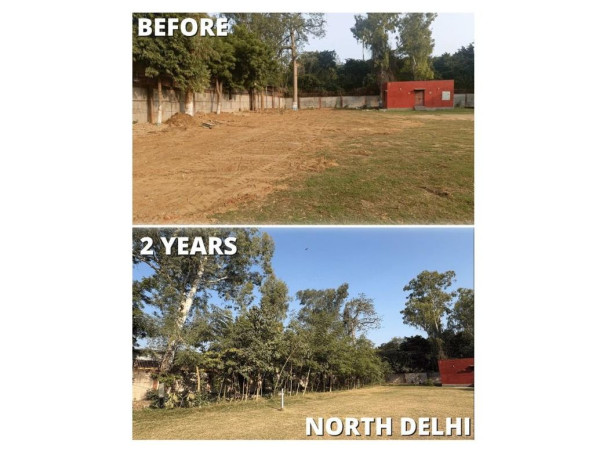 Help us Clean Delhi NCRs Air - Plant 100 Miyawaki Forests With Us!