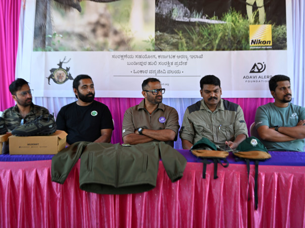 Help Protect the People Who Protect Our Forests 🌳